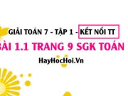 Bài 1.1 SGK Toán 7 tập 1 Kết nối tri thức